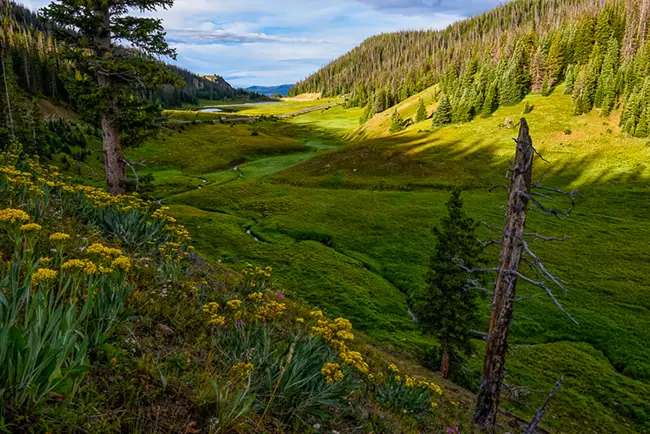 Milner Pass in morning light at the Continential Divide in Rocky Mountain National Park